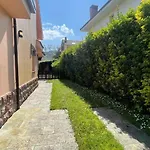 El Olivo *