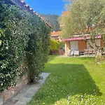 El Olivo *