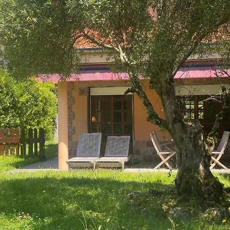 Feriehus El Olivo *